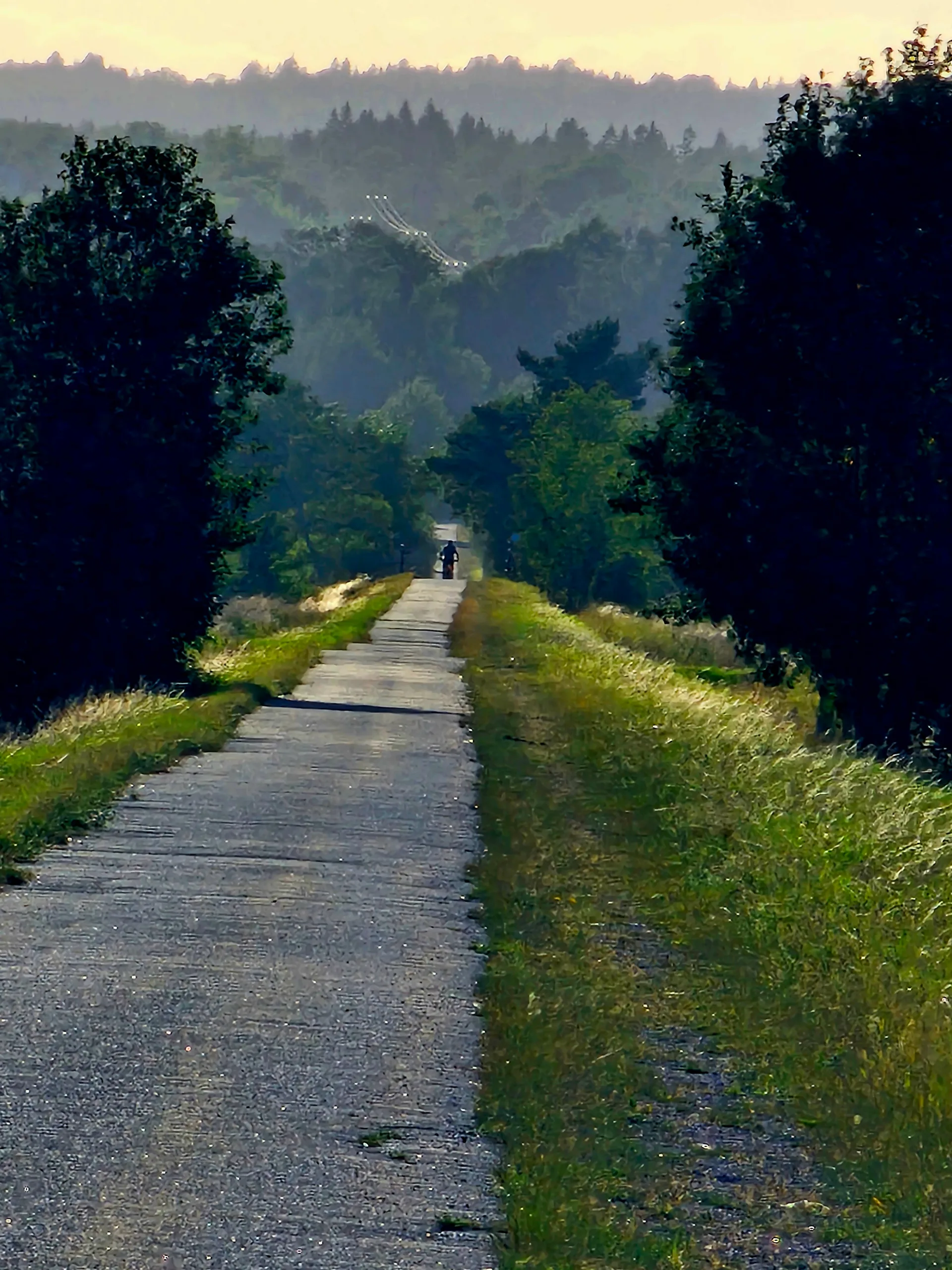 Cyclist going down a long straight road