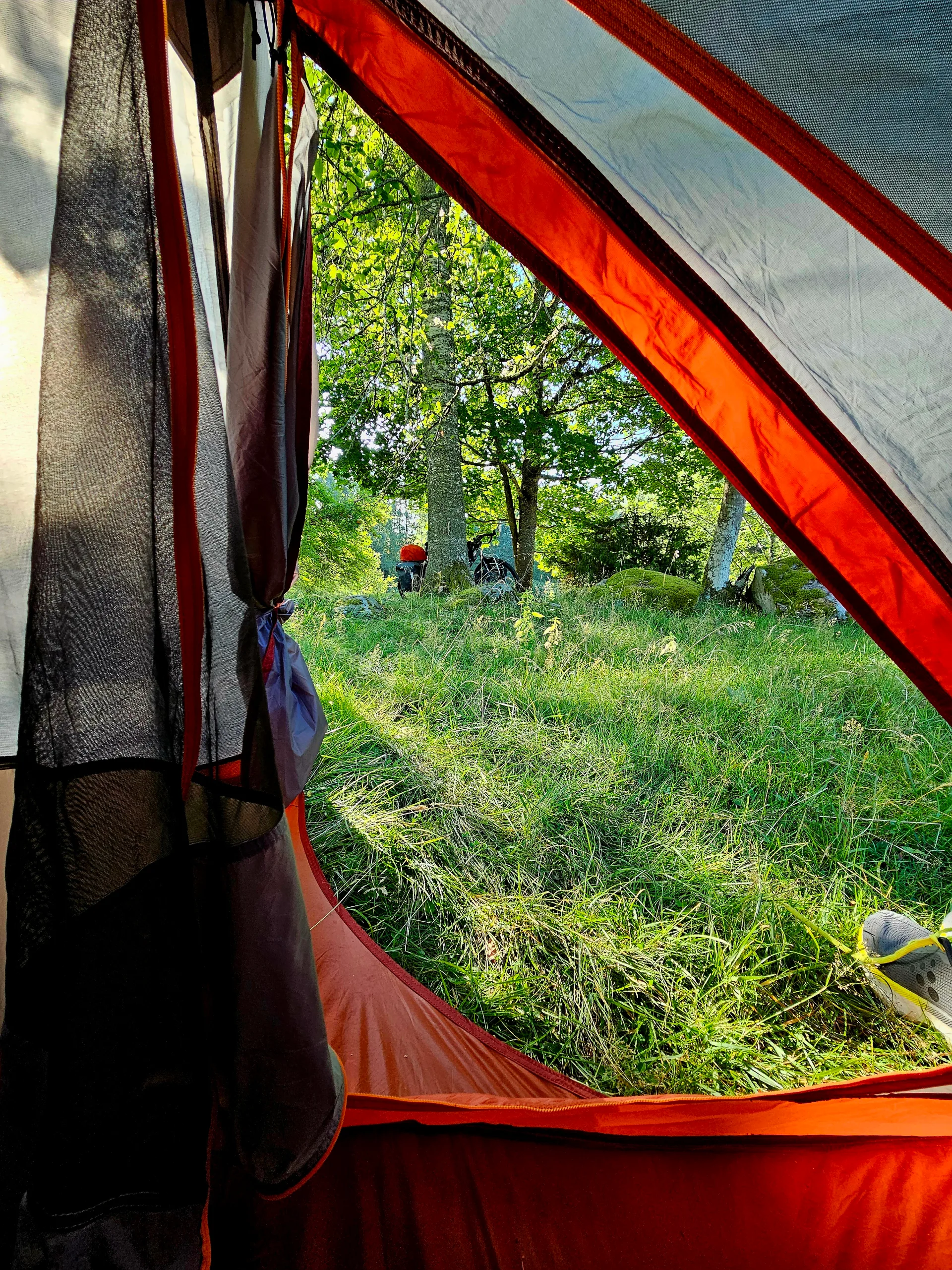 View from the tent opening